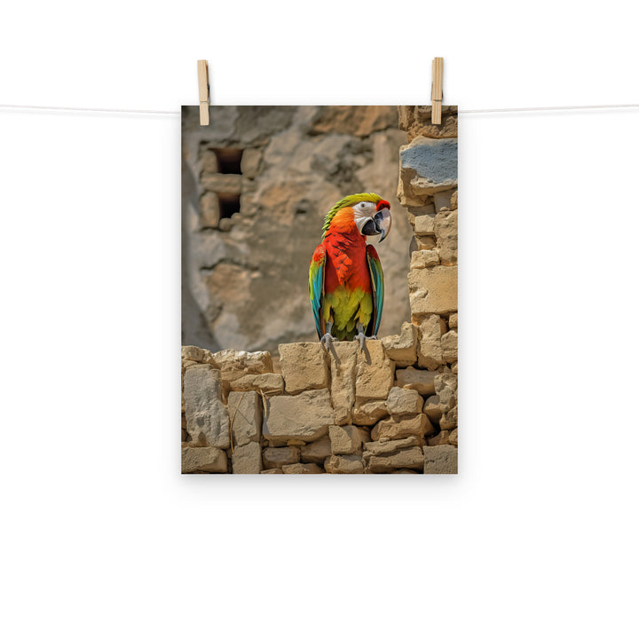 Macaw Photo paper poster - PosterfyAI.com