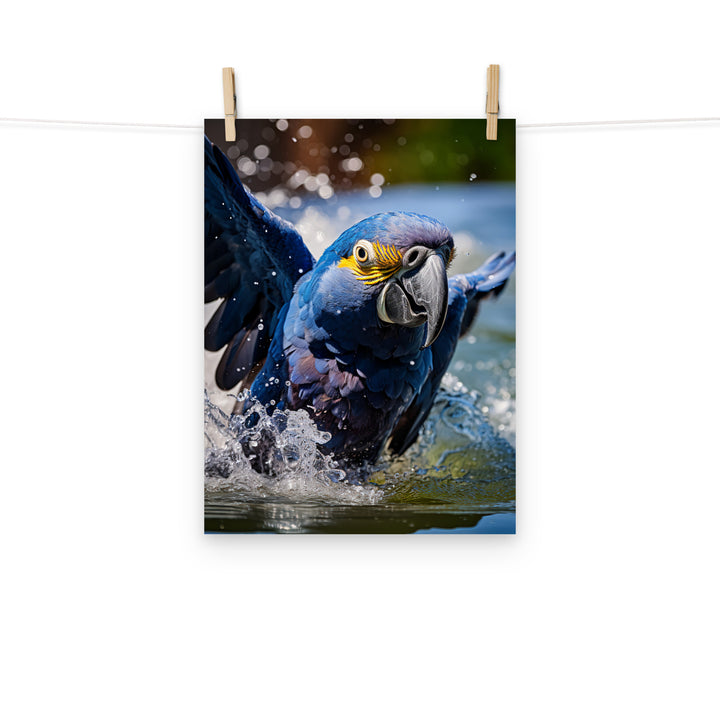 Macaw Photo paper poster - PosterfyAI.com