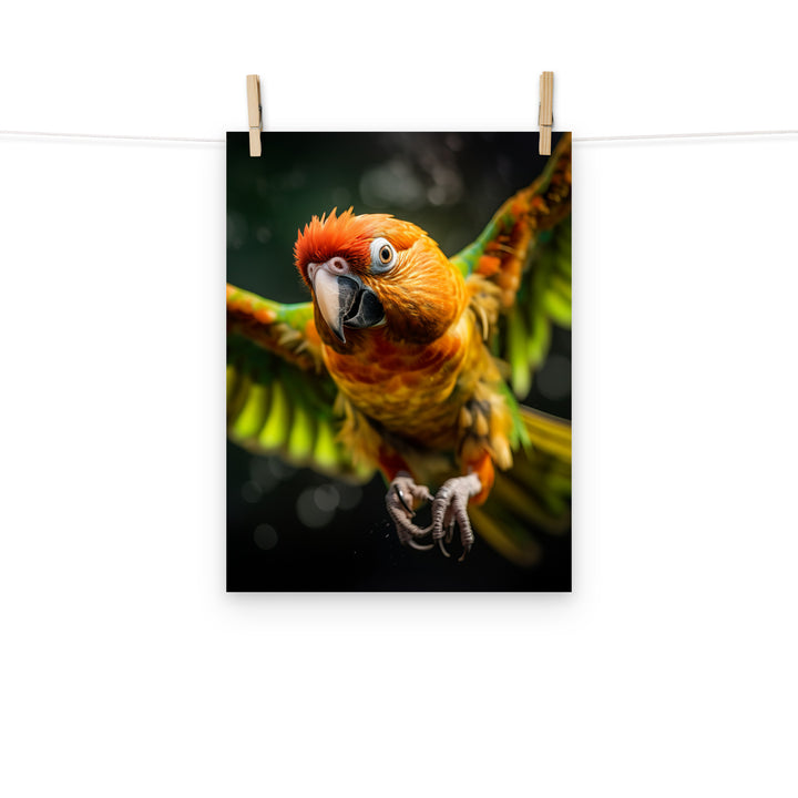 Conures Photo paper poster - PosterfyAI.com