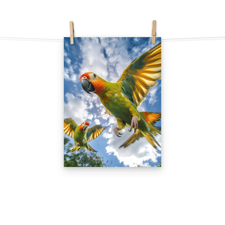 Conures Photo paper poster - PosterfyAI.com