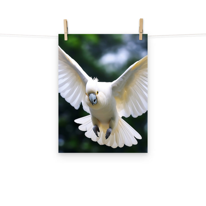 Cockatoo Photo paper poster - PosterfyAI.com