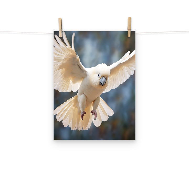 Cockatoo Photo paper poster - PosterfyAI.com