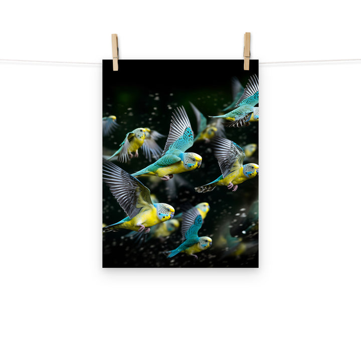 Budgerigar Photo paper poster - PosterfyAI.com
