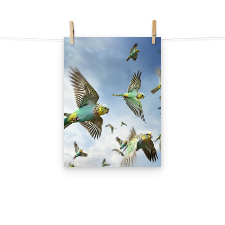 Budgerigar Photo paper poster - PosterfyAI.com
