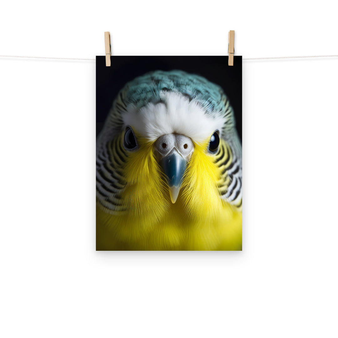 Budgerigar Photo paper poster - PosterfyAI.com