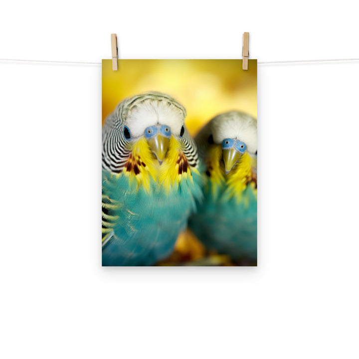 Budgerigar Photo paper poster - PosterfyAI.com