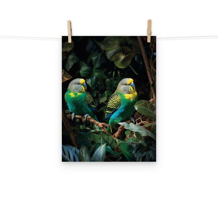 Budgerigar Photo paper poster - PosterfyAI.com