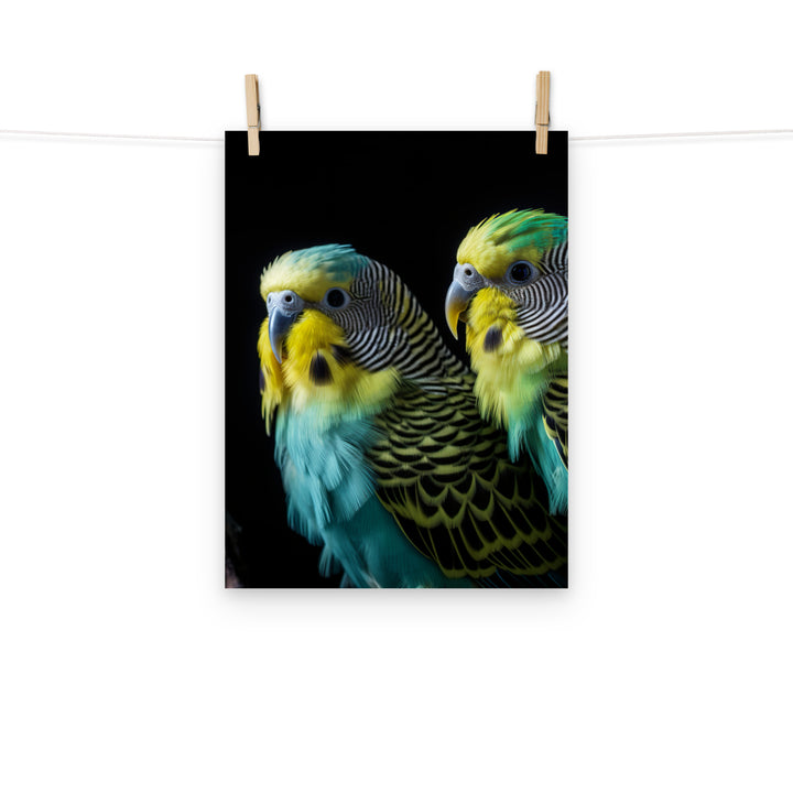 Budgerigar Photo paper poster - PosterfyAI.com