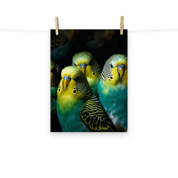 Budgerigar Photo paper poster - PosterfyAI.com