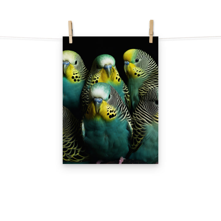 Budgerigar Photo paper poster - PosterfyAI.com