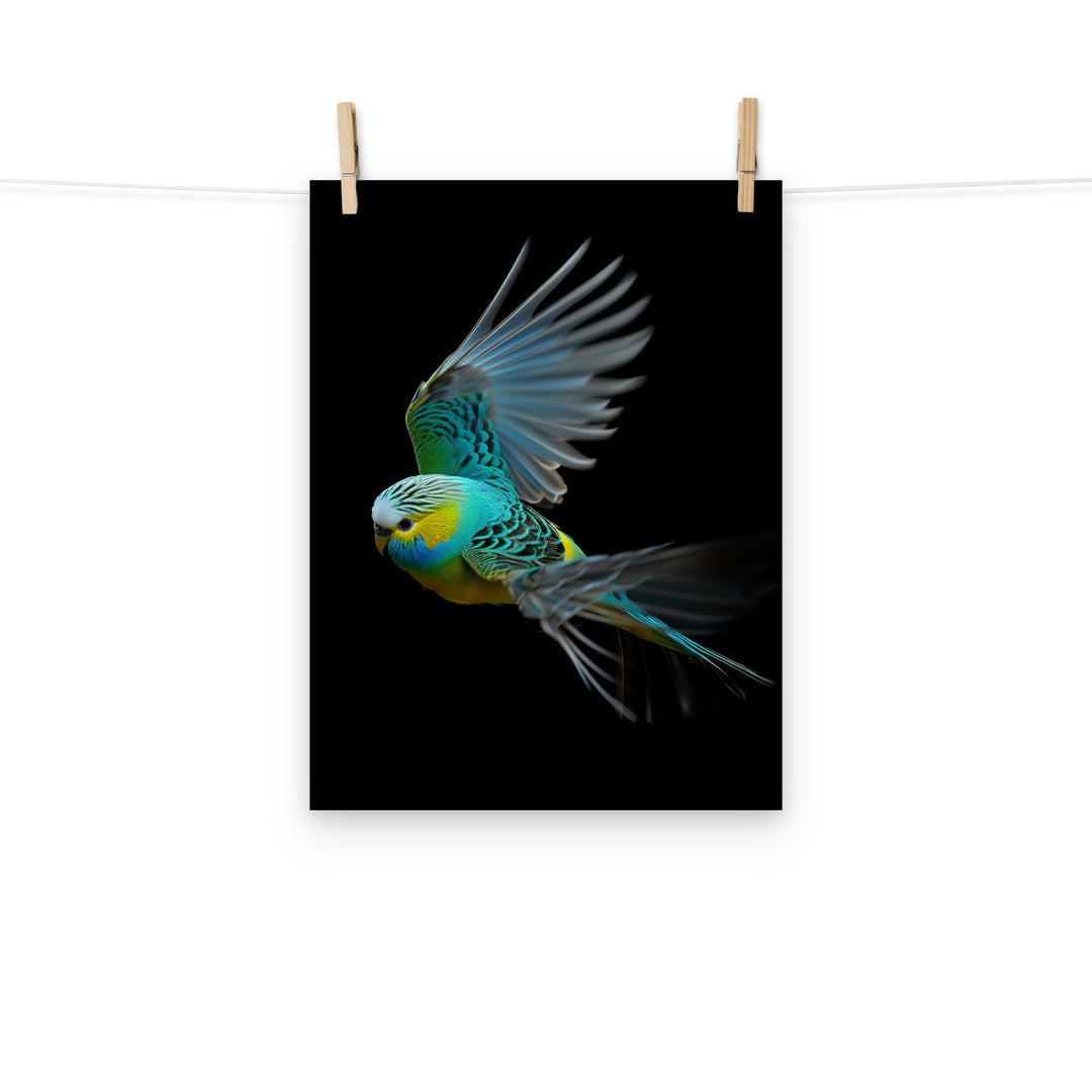 Budgerigar Photo paper poster - PosterfyAI.com