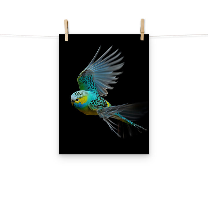Budgerigar Photo paper poster - PosterfyAI.com