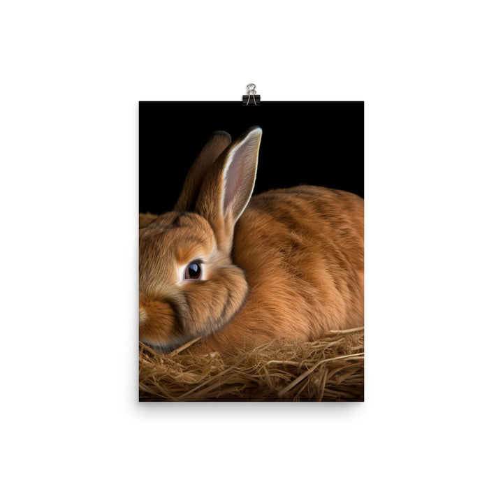 Mini Rex Bunny Photo paper poster - PosterfyAI.com