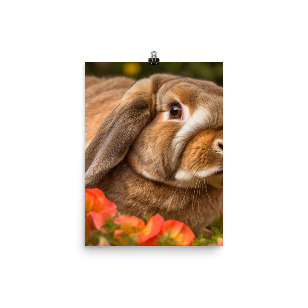 Majestic French Lop Photo paper poster - PosterfyAI.com