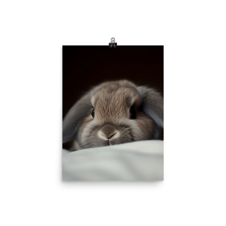 Holland Lop Photo paper poster - PosterfyAI.com