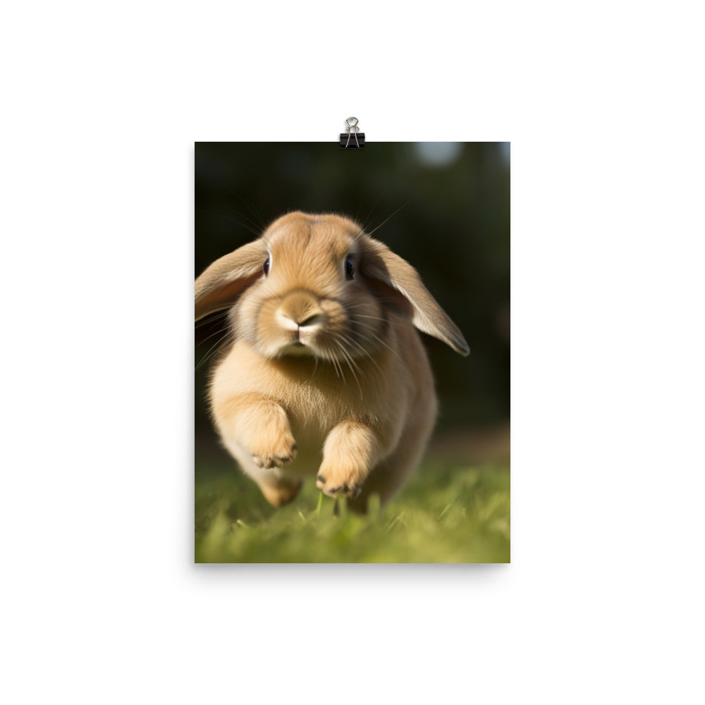 Holland Lop Photo paper poster - PosterfyAI.com