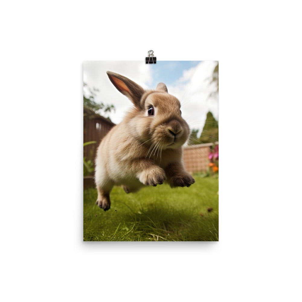 Holland Lop Photo paper poster - PosterfyAI.com