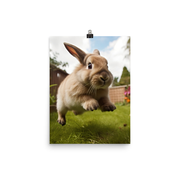 Holland Lop Photo paper poster - PosterfyAI.com
