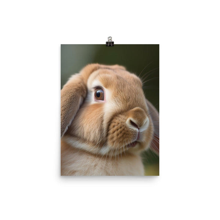 French Lop Portrait Photo paper poster - PosterfyAI.com