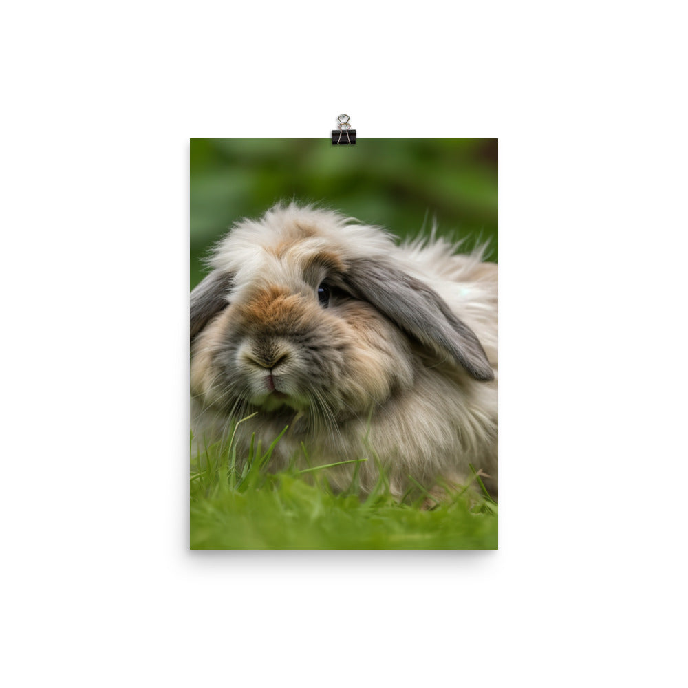 Fluffy American Fuzzy Lop Photo paper poster - PosterfyAI.com