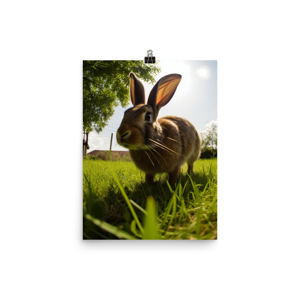Flemish Giant Rabbit Outdoors Photo paper poster - PosterfyAI.com