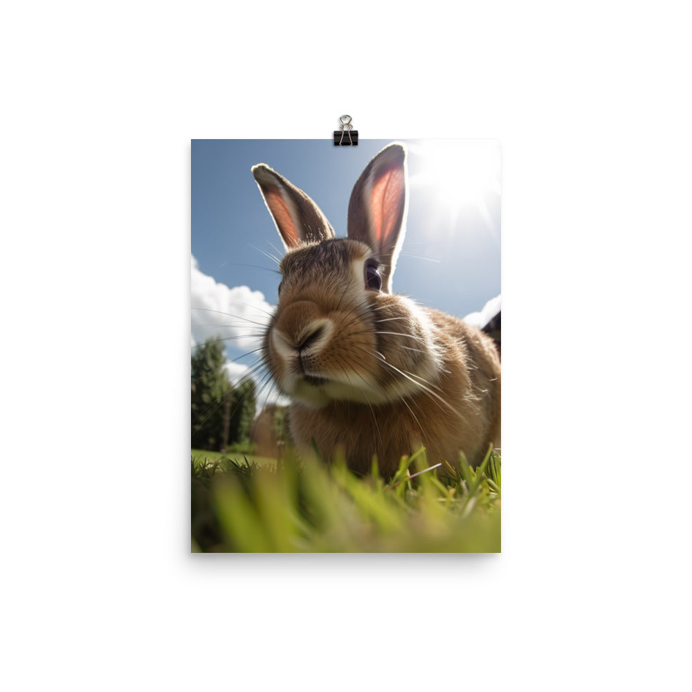 Flemish Giant Rabbit Outdoors Photo paper poster - PosterfyAI.com