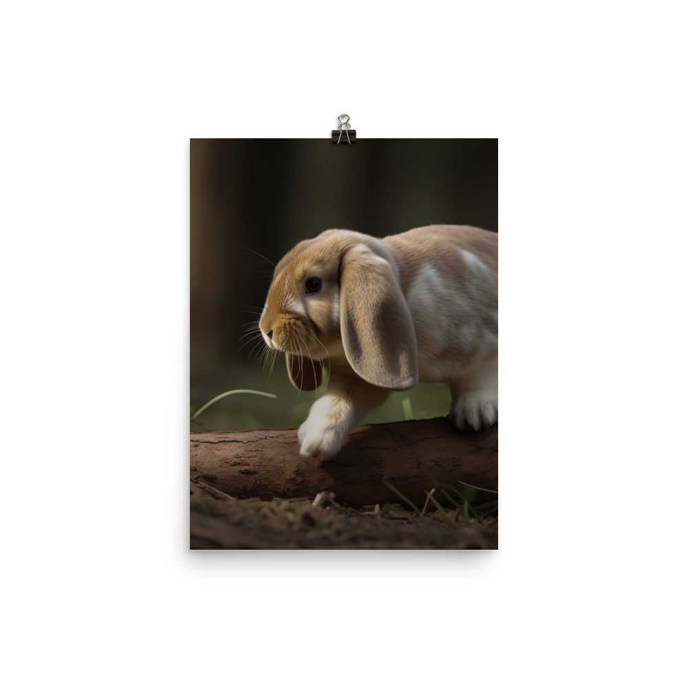 Adventurous English Lop Photo paper poster - PosterfyAI.com