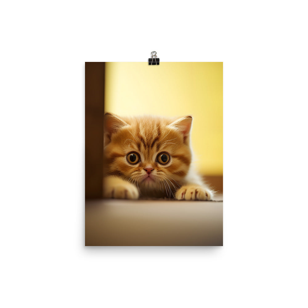 Exotic Shorthair Kitten Photo paper poster - PosterfyAI.com