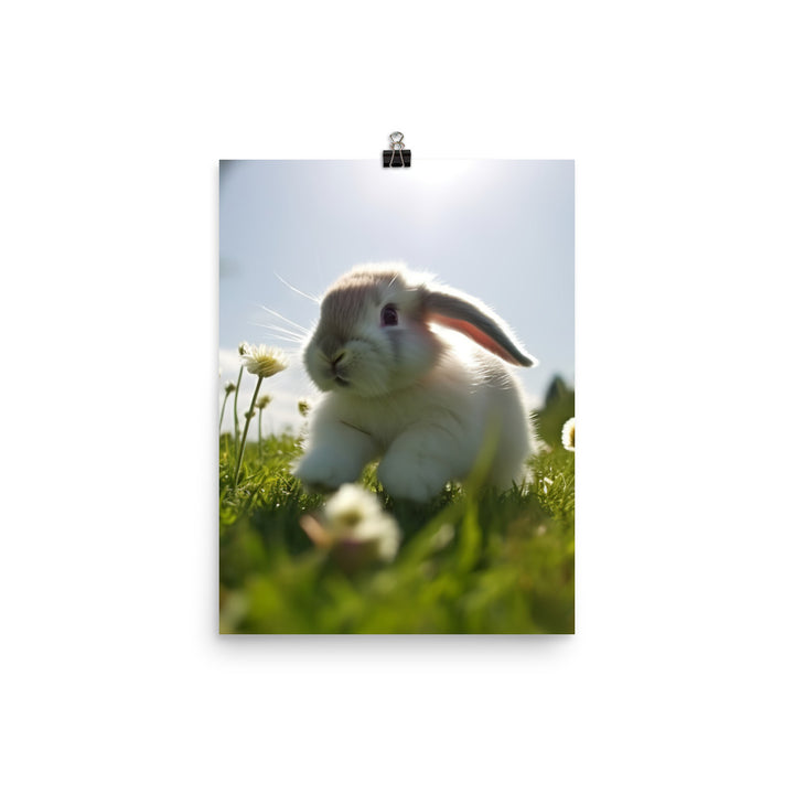 Playful Mini Lop Bunny in a Meadow Photo paper poster - PosterfyAI.com