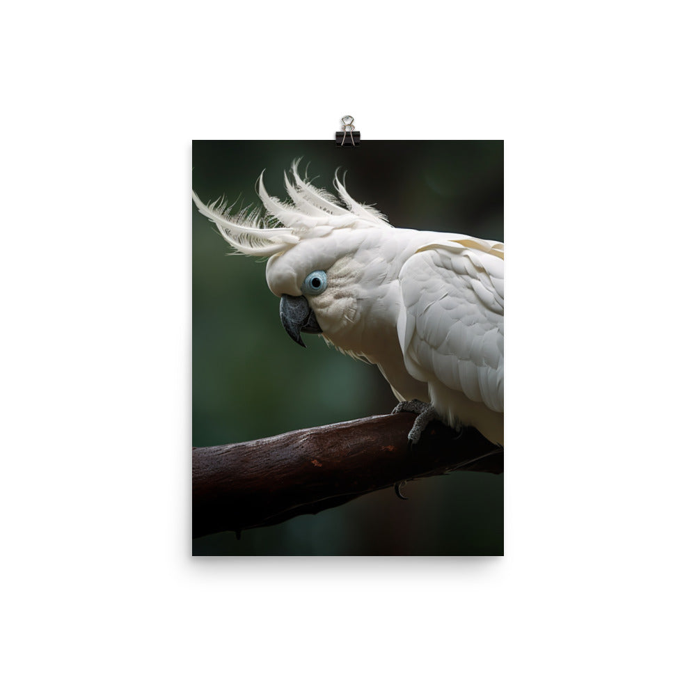 Umbrella Cockatoo Photo paper poster - PosterfyAI.com
