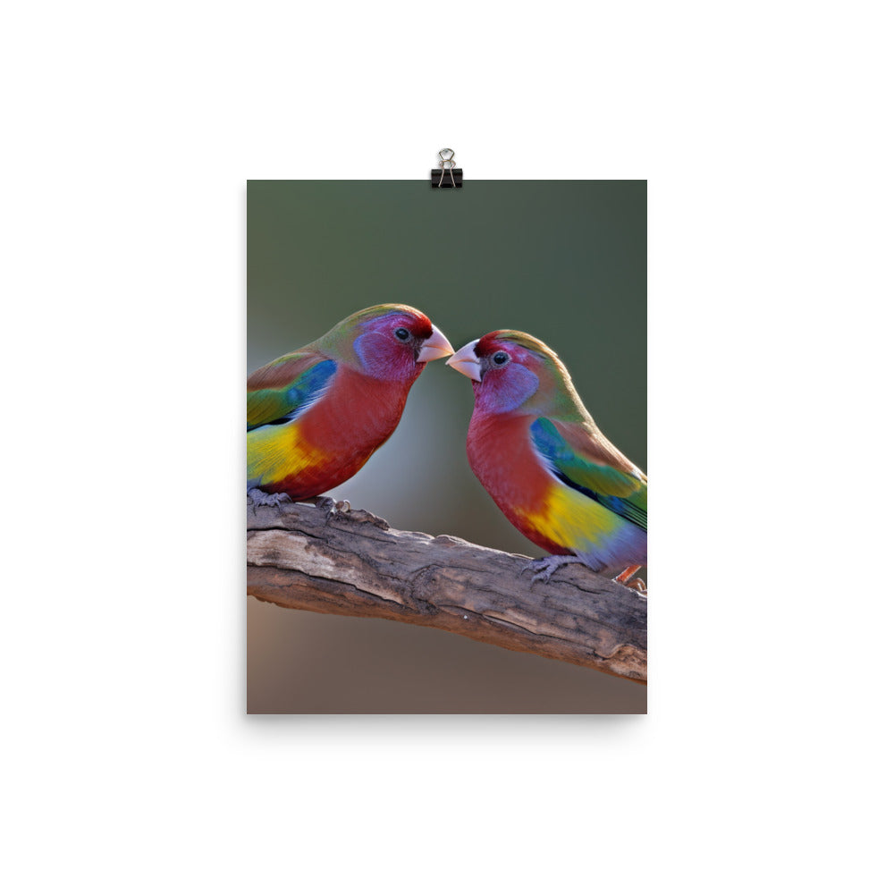 Rainbow Finches in the Wild Photo paper poster - PosterfyAI.com