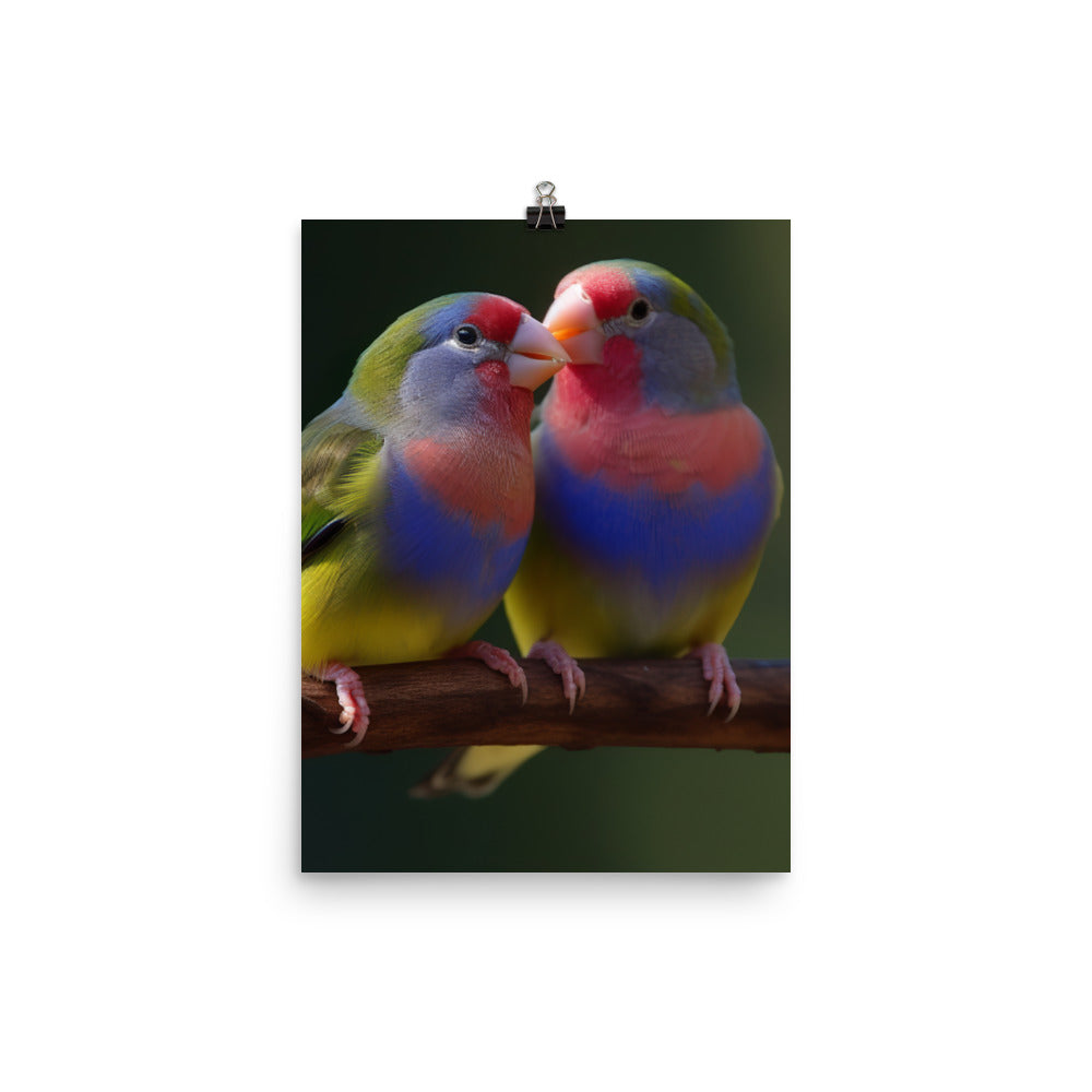 Rainbow Finches in the Wild Photo paper poster - PosterfyAI.com