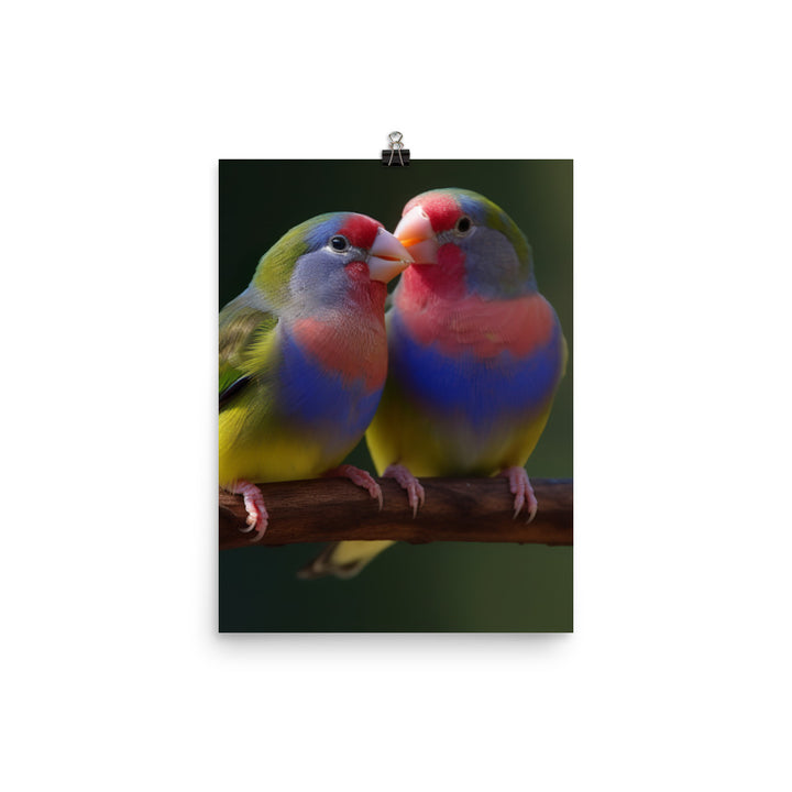 Rainbow Finches in the Wild Photo paper poster - PosterfyAI.com