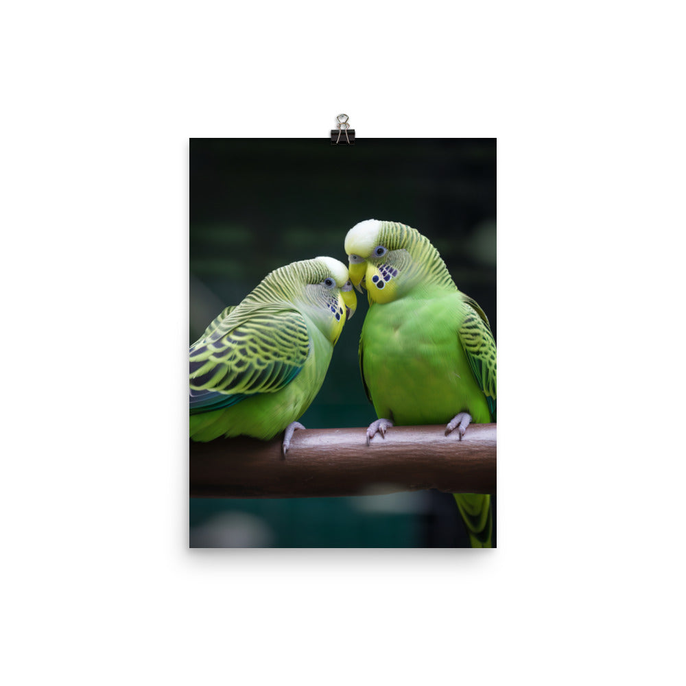 Parakeet Lovebirds Photo paper poster - PosterfyAI.com