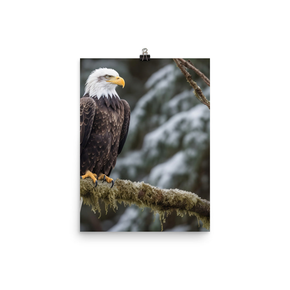 Majestic Bald Eagle Perched on a Tree Branch Photo paper poster - PosterfyAI.com