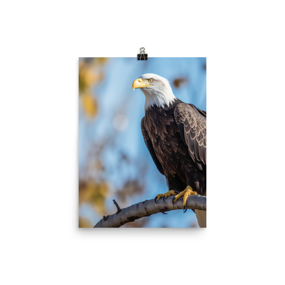 Majestic Bald Eagle Perched on a Tree Branch Photo paper poster - PosterfyAI.com