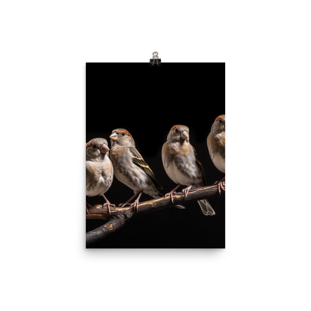 Flock of Society Finches Photo paper poster - PosterfyAI.com