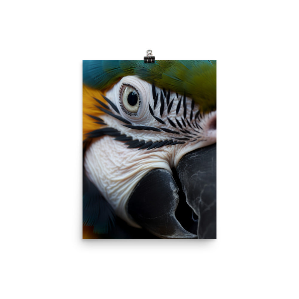 Close-up of a Blue and Gold Macaws face Photo paper poster - PosterfyAI.com