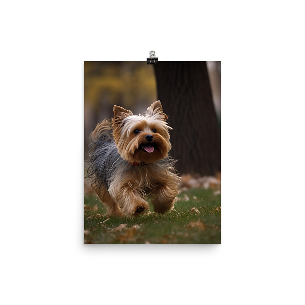 Yorkshire Terrier on-the-Go Photo paper poster - PosterfyAI.com