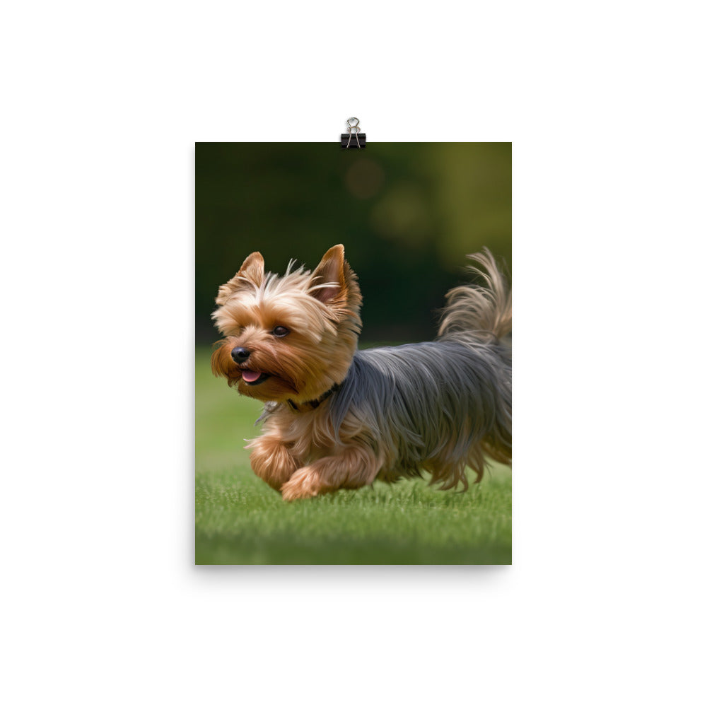 Yorkshire Terrier on-the-Go Photo paper poster - PosterfyAI.com