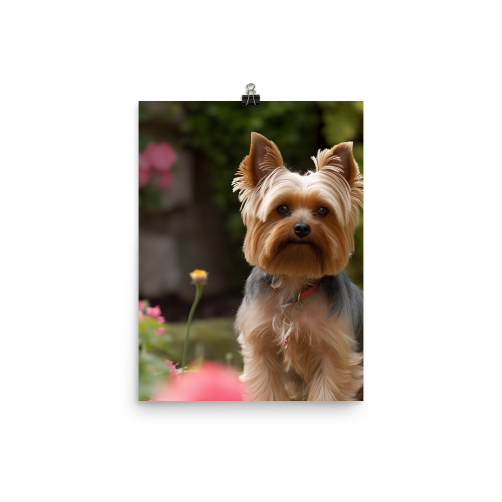 Yorkshire Terrier in the Garden Photo paper poster - PosterfyAI.com