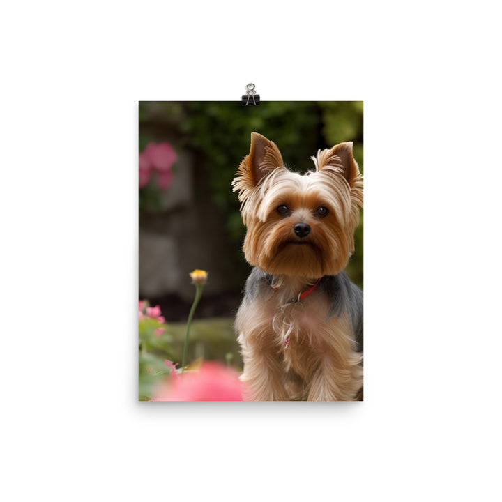 Yorkshire Terrier in the Garden Photo paper poster - PosterfyAI.com