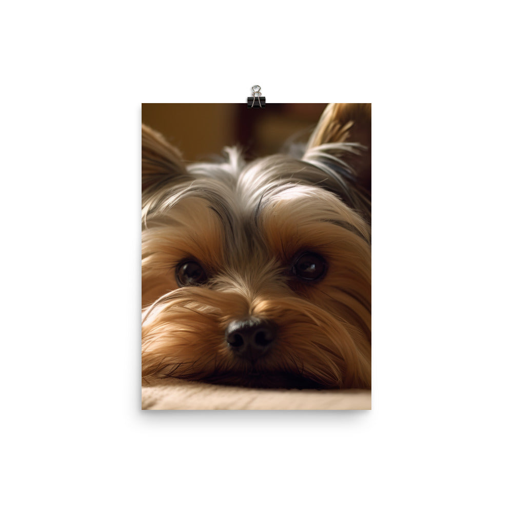 Yorkie at Home Photo paper poster - PosterfyAI.com