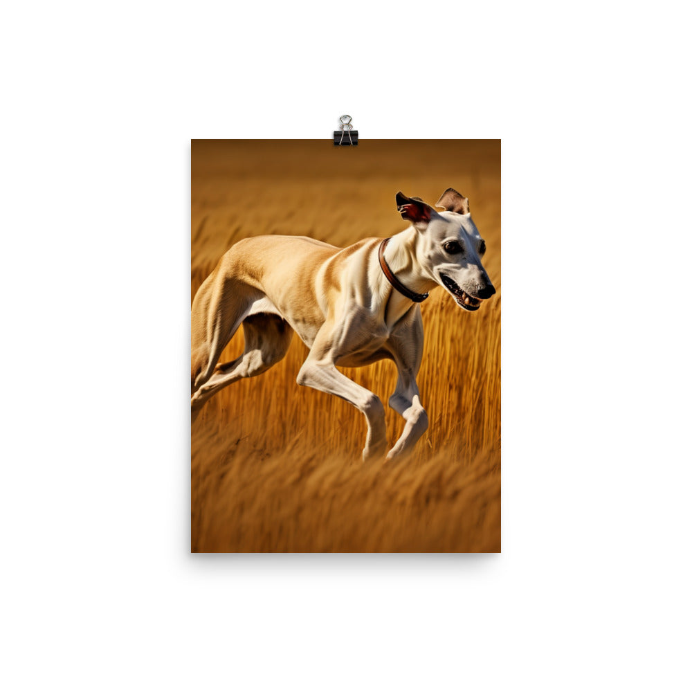 Whippet in Full Stride Photo paper poster - PosterfyAI.com