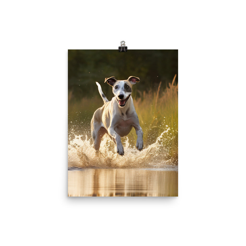 Whippet in-Action Photo paper poster - PosterfyAI.com