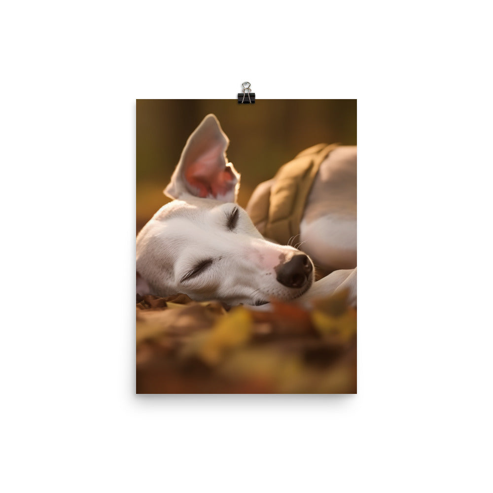 Whippet Beauty Sleep Photo paper poster - PosterfyAI.com