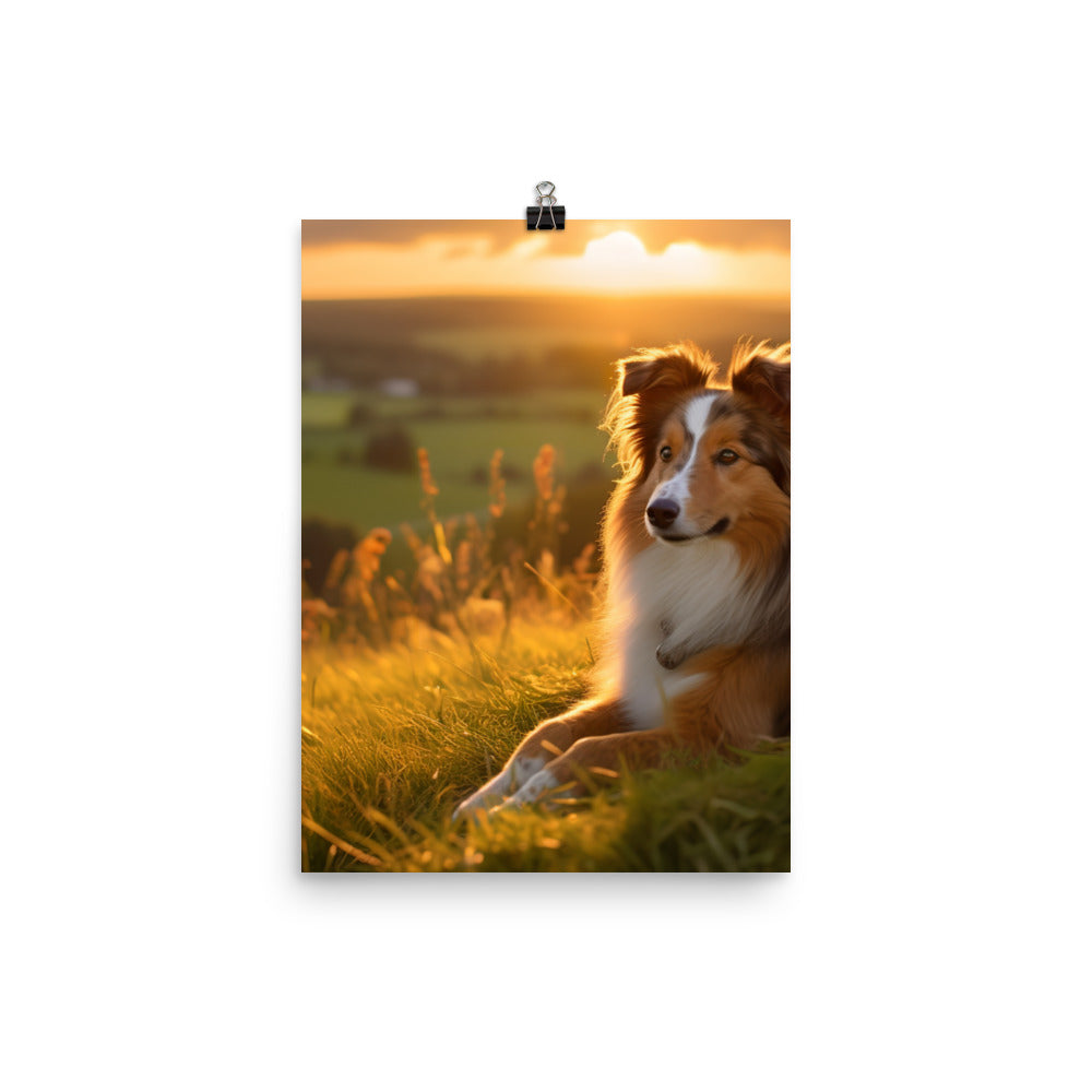Shetland Sheepdog Watching the Sunset Photo paper poster - PosterfyAI.com