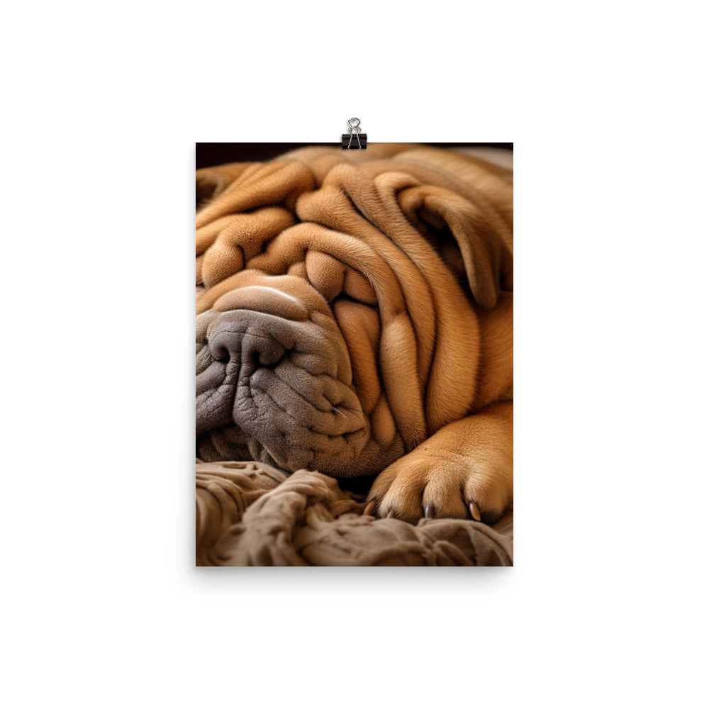Shar Pei Dreaming Photo paper poster - PosterfyAI.com