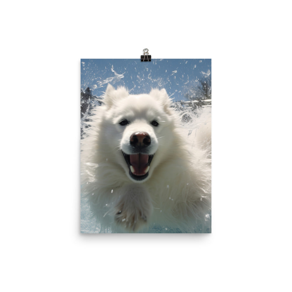 Samoyed Splash Photo paper poster - PosterfyAI.com