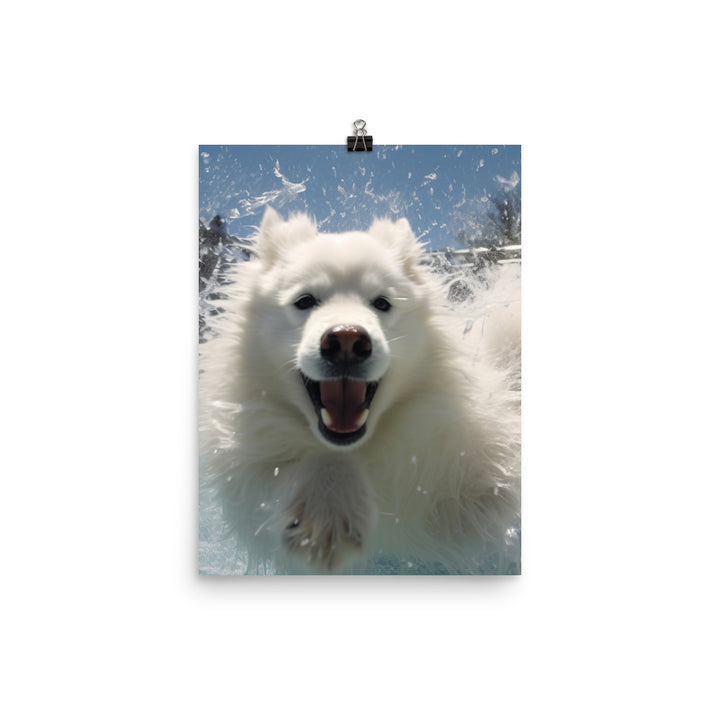 Samoyed Splash Photo paper poster - PosterfyAI.com